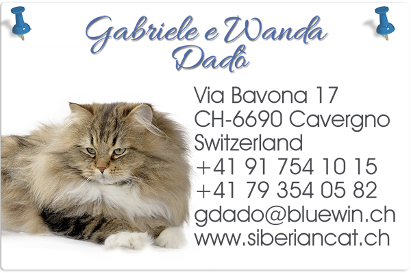 dati-wanda