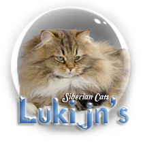 Lukijn's Cattery
